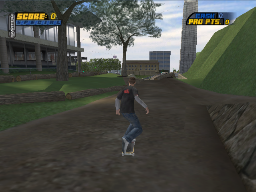 Tony Hawk 4 on Gamecube